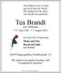 eine Anzeige